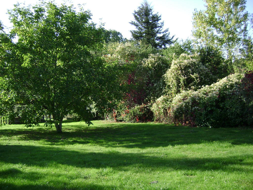 Les Chandelles Bed & Breakfast Villiers-le-Morhier Exterior photo